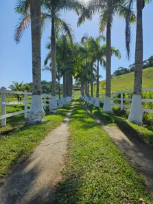 Fazenda/Sítio com 8 Quartos à venda, 110000m² no Papucaia, Cachoeiras de Macacu