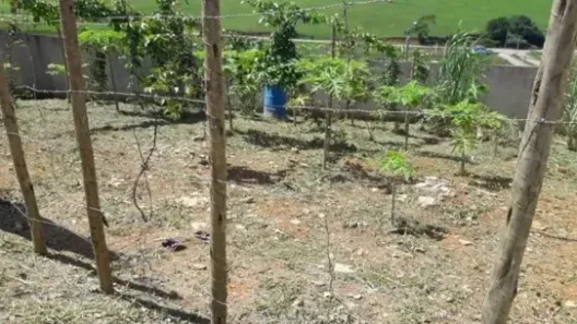 Lote/Terreno à venda, 202m² no Horto, Macaé