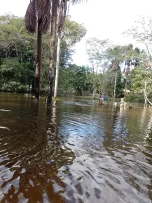 Fazenda/Sítio com 2 Quartos à venda, 150m² no , Rio Preto da Eva