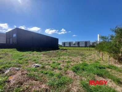 Lote/Terreno para alugar, 1255m² no Aririú, Palhoça