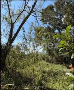 Lote/Terreno à venda, 10068m² no Cachoeira, Ibiúna