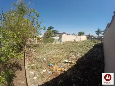 Imóvel Comercial à venda, 960m² no Vila Virgínia, Ribeirão Preto