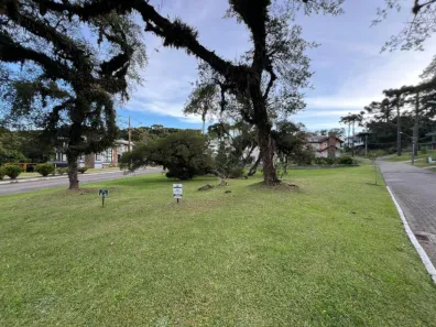Lote/Terreno à venda, 1086m² no , Canela