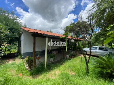 Fazenda/Sítio com 3 Quartos à venda, 100m² no Morada Nova, Uberlândia