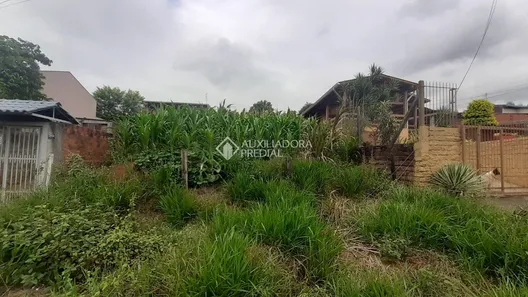Lote/Terreno à venda, 350m² no Boa Saúde, Novo Hamburgo