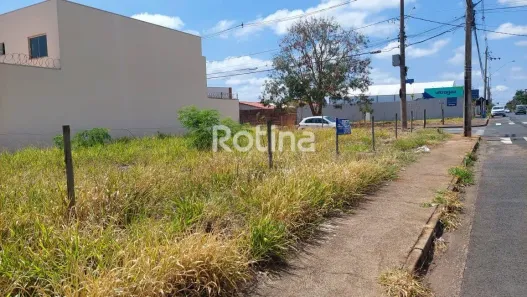 Lote/Terreno para alugar, 500m² no Alto Umuarama, Uberlândia