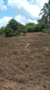 Lote/Terreno à venda, 5m² no Centro, Timon