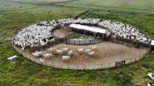 Fazenda/Sítio com 1 Quarto à venda, 4460000m² no Bairro da Pernambucana, São José dos Campos
