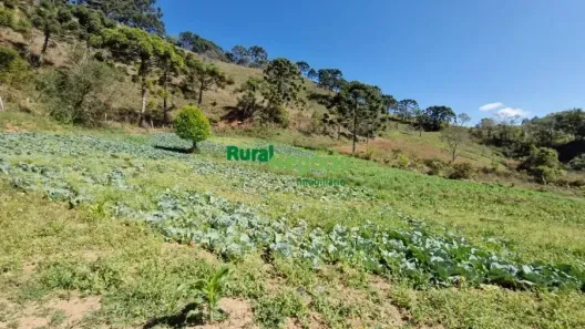 Lote/Terreno à venda, 52000m² no Centro, Delfim Moreira