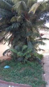 Lote/Terreno à venda, 462m² no Centro, São José dos Campos
