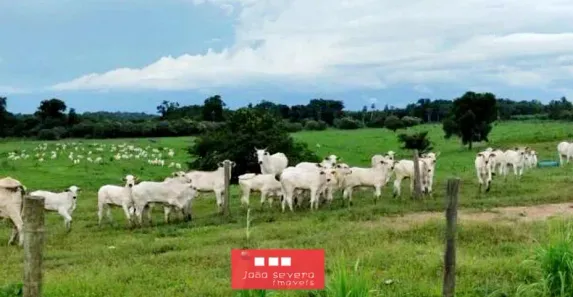 Fazenda/Sítio à venda, 9413800m² no , Sete Barras