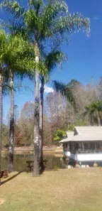 Lote/Terreno à venda, 6200m² no Ivoturucaia, Jundiaí
