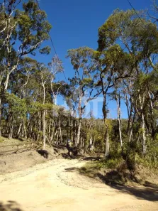 Lote/Terreno à venda, 20000m² no , Rancho Queimado