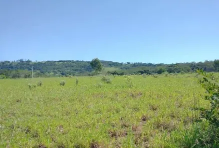 Fazenda/Sítio com 1 Quarto à venda, 102300m² no Área Rural de São Simão, São Simão