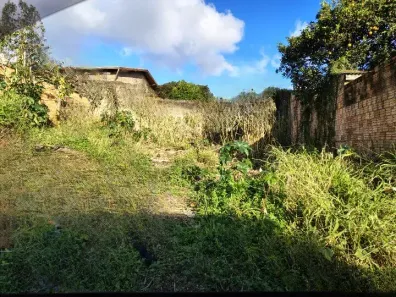 Lote/Terreno à venda, 229m² no São Lucas, Viamão