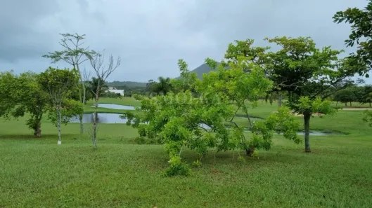 Lote/Terreno com 1 Quarto à venda, 878m² no Ingleses do Rio Vermelho, Florianópolis
