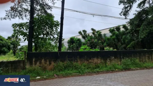 Lote/Terreno à venda, 6000m² no Jardim Ponte Alta I, Guarulhos