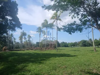 Fazenda/Sítio com 3 Quartos à venda, 270000m² no , Amélia Rodrigues