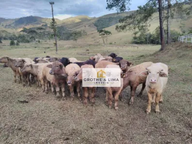 Fazenda/Sítio com 3 Quartos à venda, 400m² no , São José do Barreiro