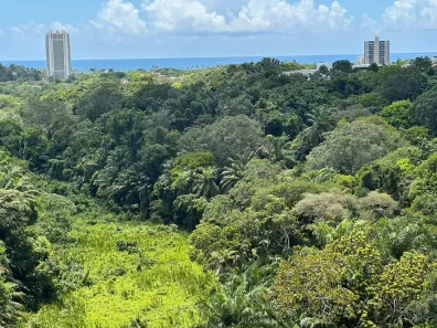 Apartamento com 2 Quartos para alugar, 70m² no Alphaville I, Salvador