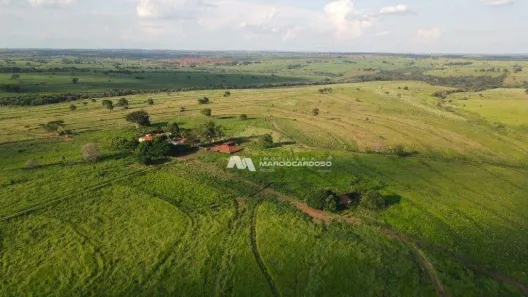 Fazenda/Sítio com 5 Quartos à venda, 500m² no , Palmeira d'Oeste