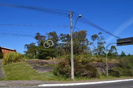 Lote/Terreno à venda, 5000m² no Centro, Gramado