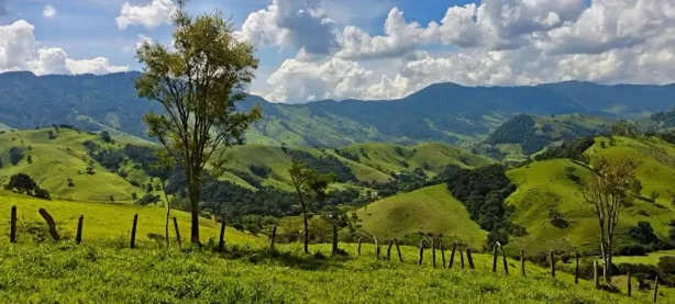 Lote/Terreno à venda, 5000m² no , Delfim Moreira
