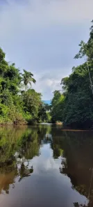 Fazenda/Sítio com 4 Quartos à venda, 3488640m² no , Pacajá