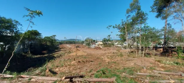 Lote/Terreno à venda, 389m² no Campeche, Florianópolis