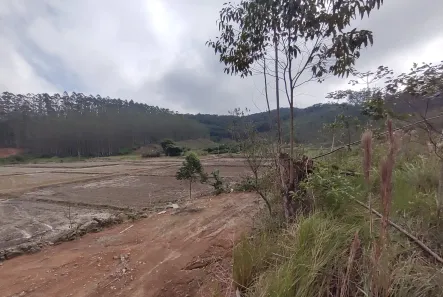 Lote/Terreno à venda, 55000m² no Arraial D'Ouro, Gaspar