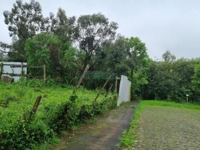 Lote/Terreno à venda, 531m² no Diamantino, Caxias do Sul