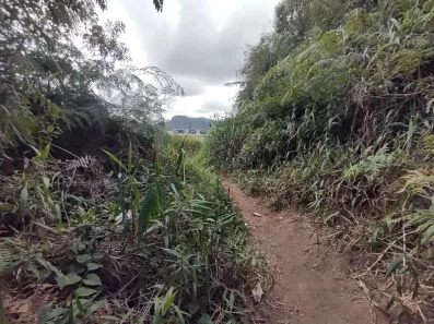 Lote/Terreno à venda, 1600m² no Chácara Paraíso, Nova Friburgo
