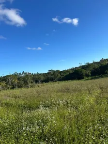 Lote/Terreno à venda, 500m² no Nhambuca ( Caucaia do Alto), Cotia