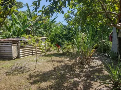 Fazenda/Sítio com 2 Quartos à venda, 1820m² no Alexandra, Paranaguá