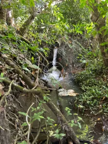 Fazenda/Sítio à venda, 1m² no Zona Rural Hidrolandia, Hidrolândia
