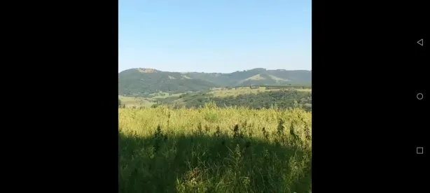 Fazenda/Sítio com 2 Quartos à venda, 50m² no Área Rural de Botucatu, Botucatu