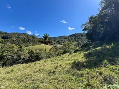 Fazenda/Sítio à venda, 143000m² no São Pedro da Serra, Nova Friburgo