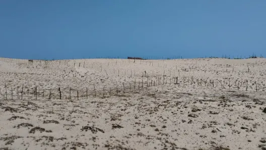 Lote/Terreno à venda, 613000m² no , Trairi