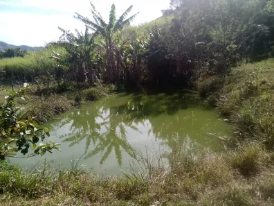 Fazenda/Sítio com 3 Quartos à venda, 307000m² no Centro, Jambeiro