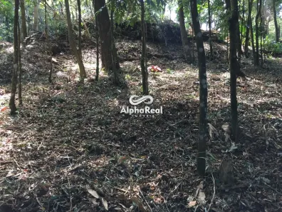 Lote/Terreno à venda, 4648m² no , Nova Lima