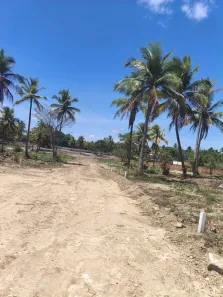 Lote/Terreno à venda, 200m² no Nova Cruz, Igarassu
