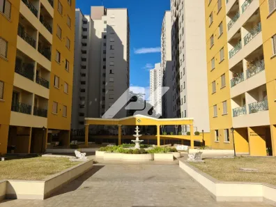 Apartamento com 3 Quartos para alugar, 73m² no Vila Nova, Campinas