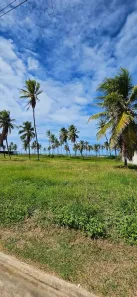Lote/Terreno à venda, 2400m² no Brisas de Atalaia, Barra dos Coqueiros