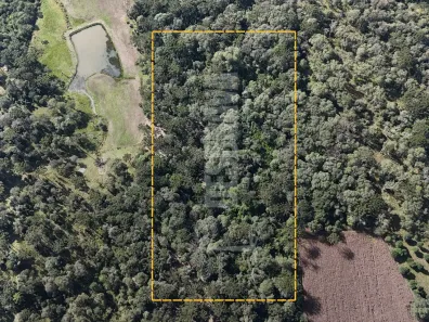 Lote/Terreno à venda, 32000m² no , Campo Alegre