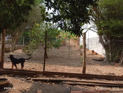 Fazenda/Sítio com 3 Quartos à venda, 120m² no Centro, Santa Rosa de Viterbo