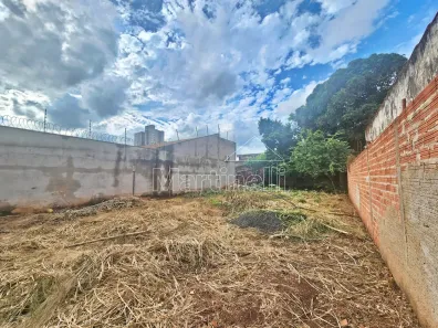 Lote/Terreno à venda, 363m² no Vila Virgínia, Ribeirão Preto