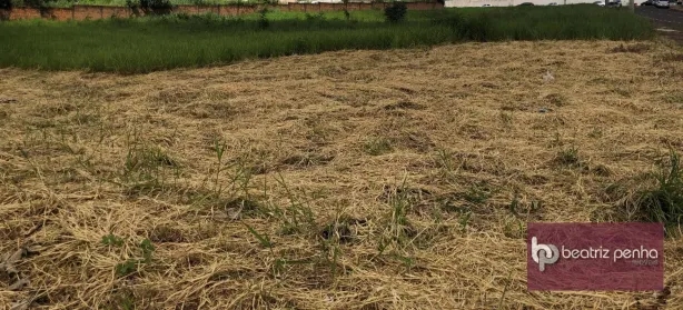 Lote/Terreno à venda, 6800m² no Centro, São José do Rio Preto