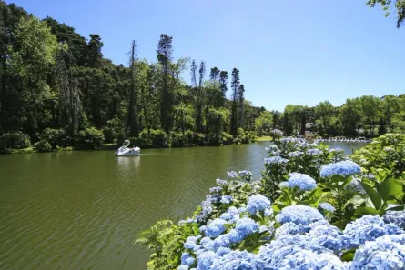 Apartamento com 3 Quartos à venda, 77m² no , Gramado