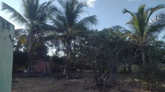 Fazenda/Sítio com 2 Quartos à venda, 84m² no Área Rural de Cuiabá, Cuiabá
