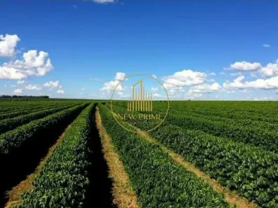 Fazenda/Sítio com 20 Quartos à venda, 1300m² no Centro, Jequitinhonha
